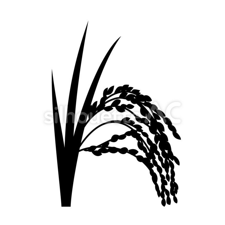 水稻穗, 图标, 饭, 一个例证, JPEG, SVG, PNG 和 EPS